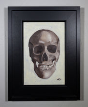 Load image into Gallery viewer, Skull Study
