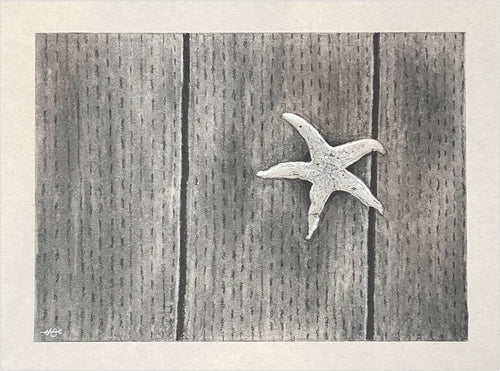 A charcoal drawing of a lone starfish.